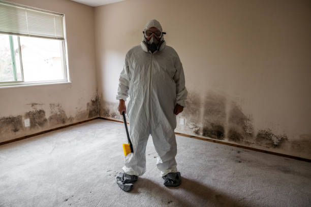 Best Mold Damage Repair  in Wellston, OH